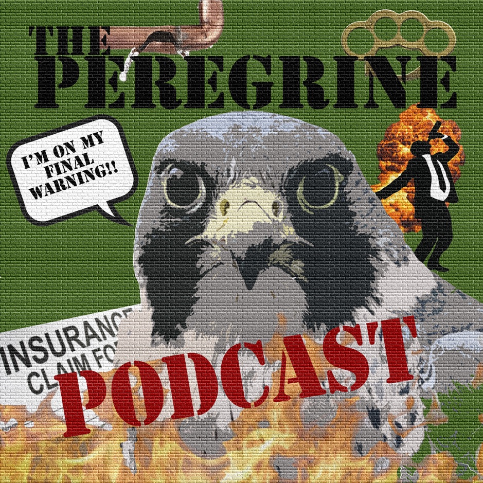 The Peregrine